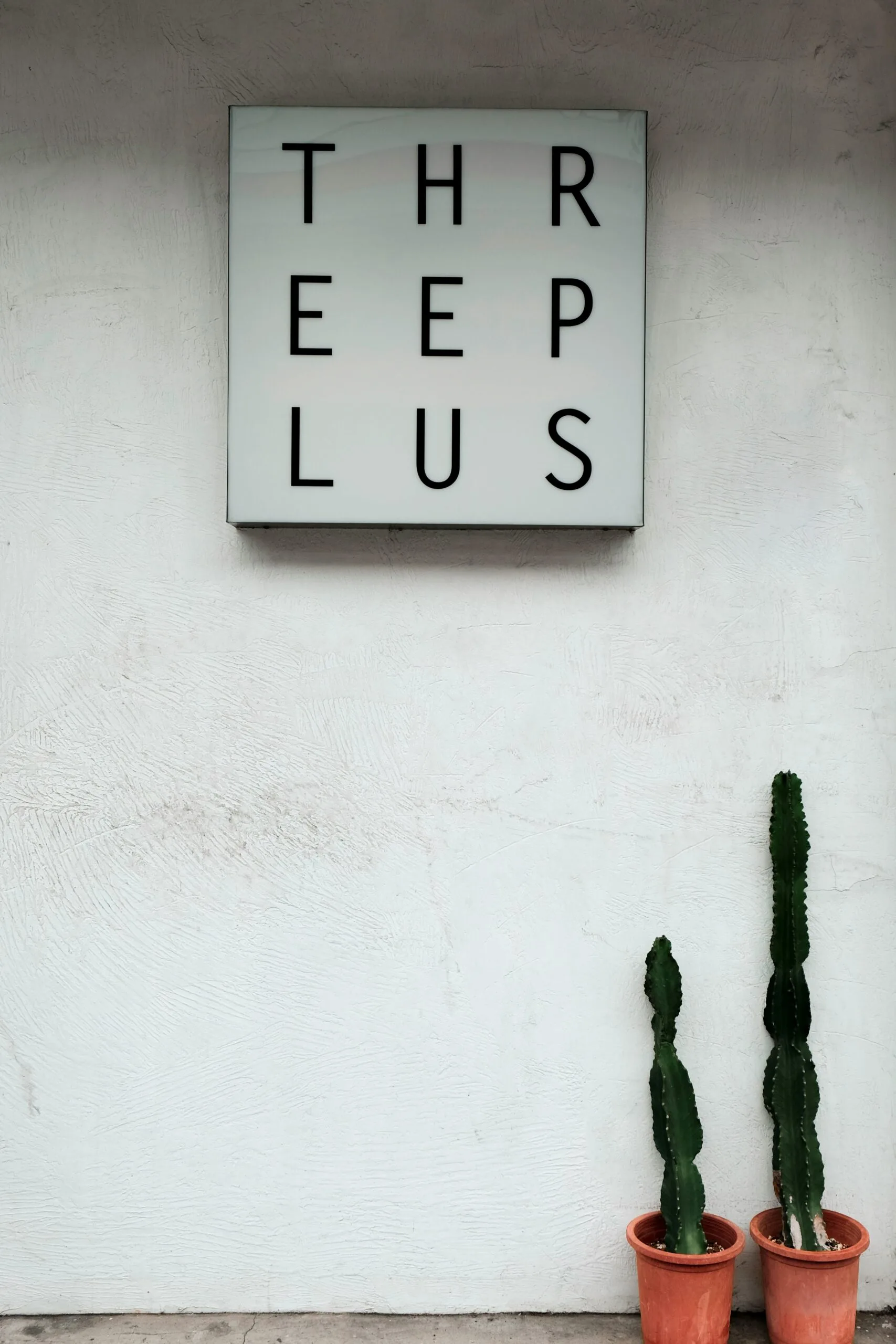 Exploring the World of Rare Cactus Plants
