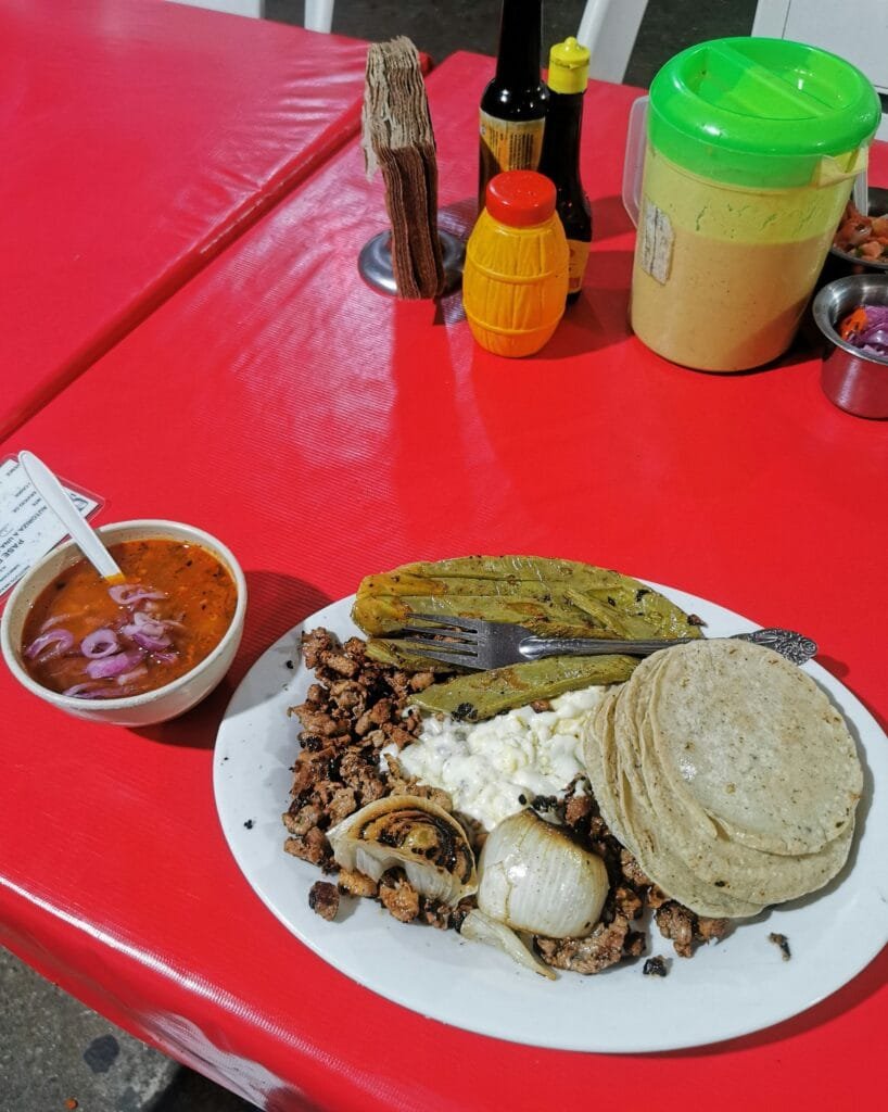 grilling cactus pads,
enjoying a meal with cactus pads,
adding cactus to your meal for a unique treat
unique meals 